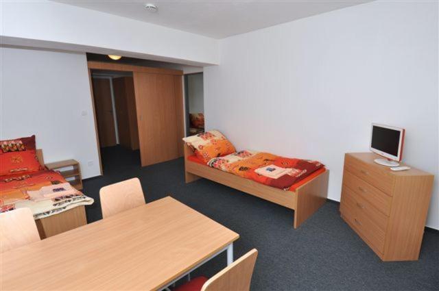 Sport Hotel Ticha Orlice Ústí nad Orlicí Стая снимка